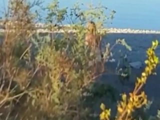 Light-haired grannie steaming outdoor crazy fuck-fest